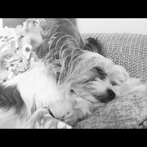 Meet your Posher, Sonia